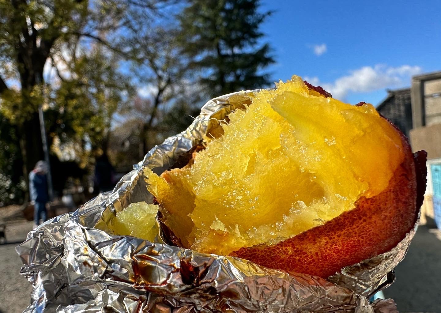 【紅はるか】1.8kg甘すぎ⁉蜜たっぷりのねっとり食感