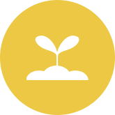 どういう畑で育てられるか直接見られる