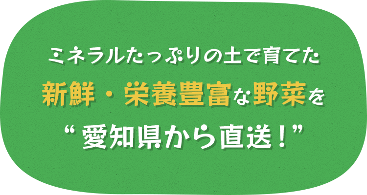 ミネラルたっぷりの土で育てた新鮮・栄養豊富な野菜を“愛知県から直送！”