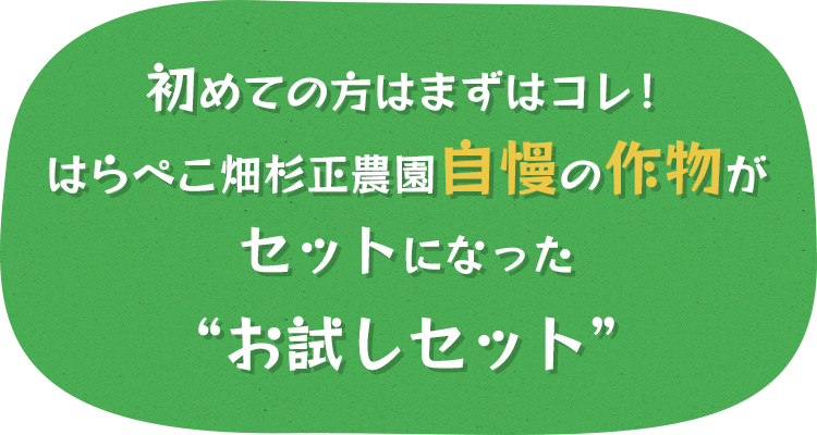 初めての方はまずはコレ！はらぺこ畑杉正農園自慢の作物がセットになった“お試しセット”
